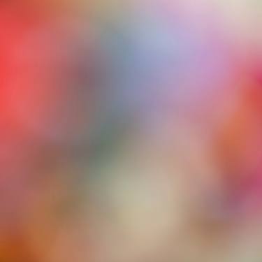 Original Abstract Expressionism Abstract Photography by Christine Goerner