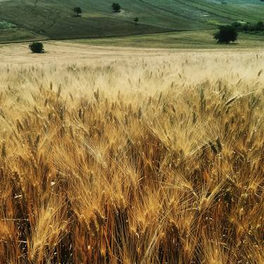 Original Realism Landscape Photography by Kostas Pittas