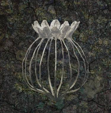 Original Conceptual Botanic Mixed Media by Peter Arnell