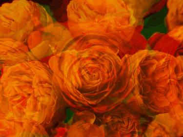 Original Figurative Botanic Mixed Media by Peter Arnell