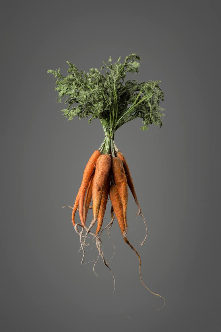 Original Fine Art Still Life Sculpture by Rachel Nettles