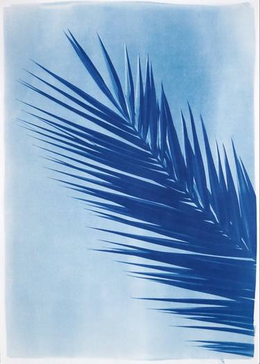 Original Documentary Botanic Printmaking by Kind Of Cyan
