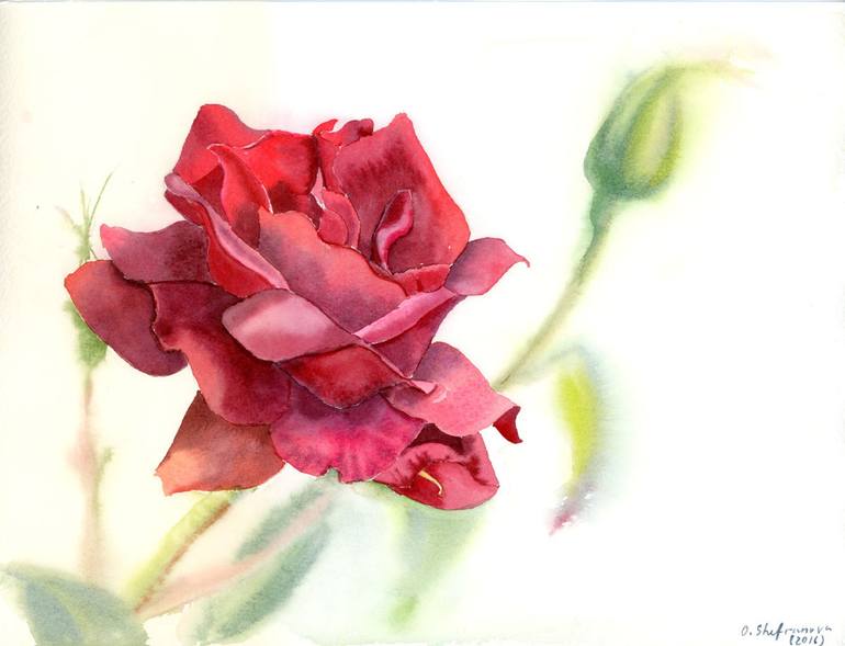 Original Fine Art Floral Paintings by Olga Tchefranov