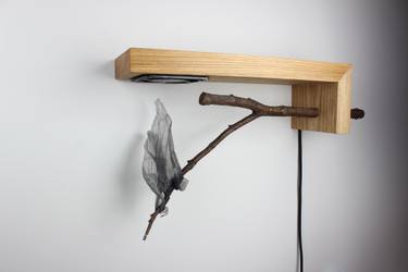 Original Conceptual Nature Installation by Tristan Roland