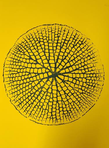 Original Contemporary Nature Printmaking by Giorgos Papasotiriou