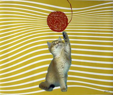 Original Black & White Cats Mixed Media by Ibrahim Unal