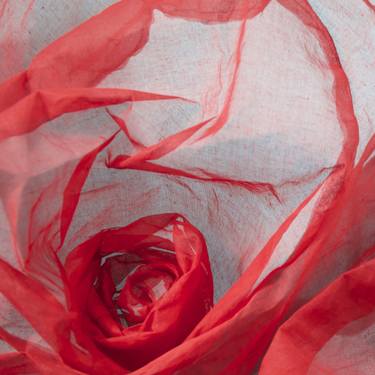 Original Expressionism Abstract Photography by Suzie Reeves