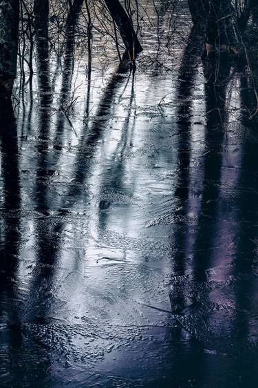 Original Fine Art Tree Photography by Antoine Violleau