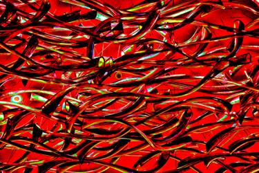 Original Abstract Expressionism Fish Photography by John Fitzgerald Owens