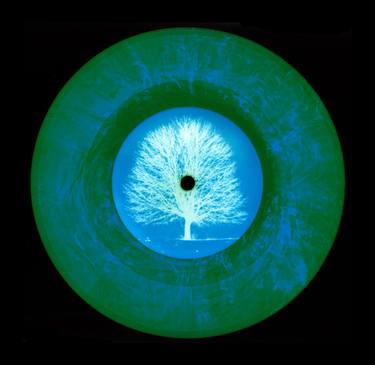 Original Conceptual Tree Photography by Richard Heeps