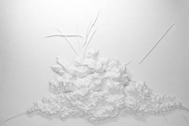 Original Conceptual Floral Photography by Dr Gora Parasit
