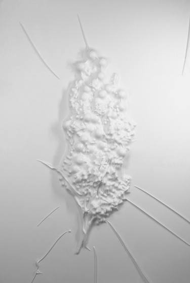 Original Conceptual Floral Photography by Dr Gora Parasit