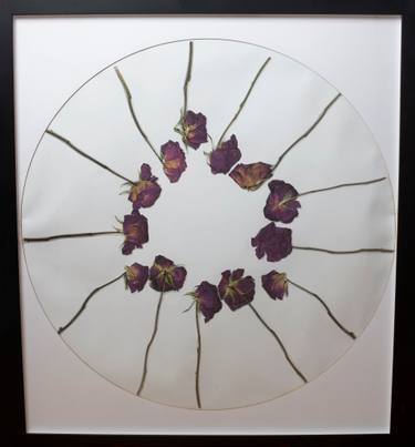 Original Conceptual Botanic Collage by Nuki Sigora
