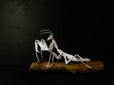 Original Surrealism Animal Sculpture by Benson Chen