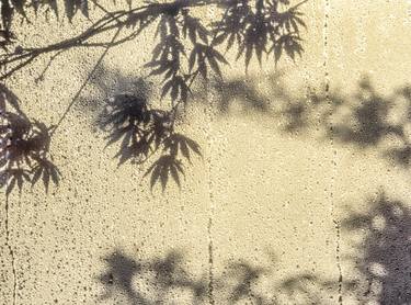 Original Fine Art Tree Photography by Scott Barrow