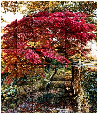 Original Expressionism Tree Photography by Keith Hammond
