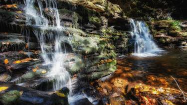 Original Photorealism Nature Photography by Irina Wolfe