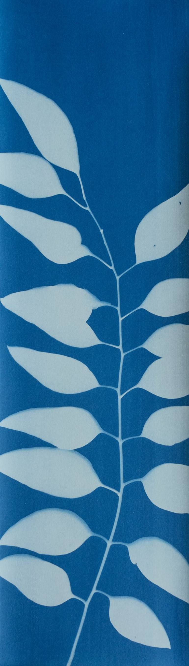 Original Fine Art Botanic Printmaking by Christine So