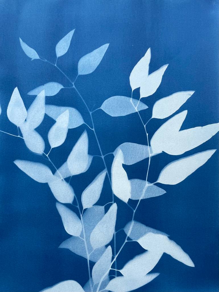 Original Fine Art Botanic Printmaking by Christine So