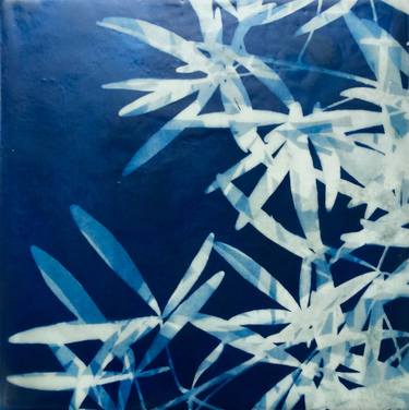 Original Abstract Patterns Photography by Christine So