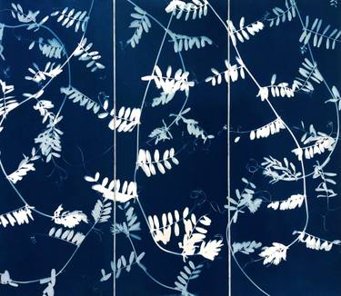 Original Fine Art Nature Printmaking by Christine So