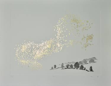 Original Conceptual Landscape Printmaking by Angus Hampel
