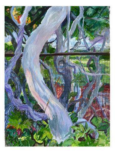 Original Classicism Nature Paintings by Lynn Stein