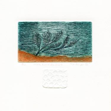 Original Contemporary Water Printmaking by Vera Almeida