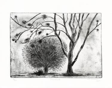 Original Contemporary Tree Printmaking by Vera Almeida
