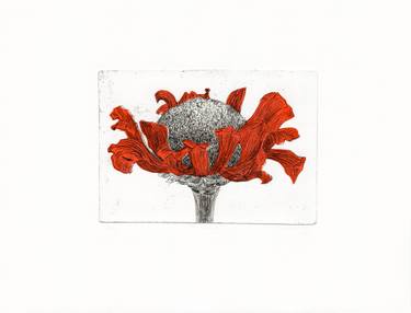 Original Conceptual Floral Printmaking by Vera Almeida