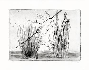 Original Conceptual Nature Printmaking by Vera Almeida