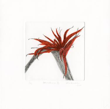 Original Conceptual Floral Printmaking by Vera Almeida