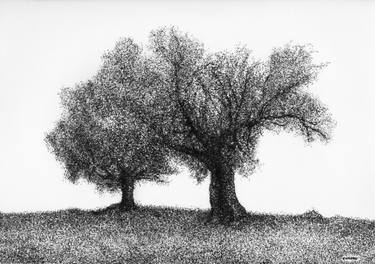 Original Modern Tree Drawing by Canovu Jaime