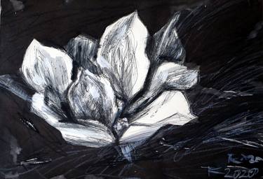 Original Expressionism Botanic Drawing by Tatiana Korchemkina