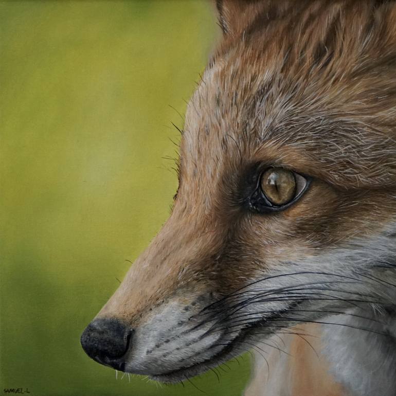 Red Fox Painting by Samuel Legg | Saatchi Art