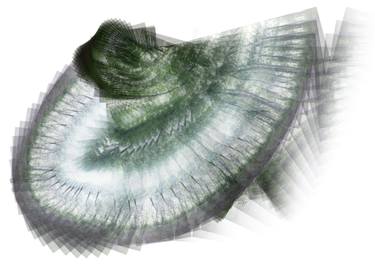 Original Digital Art Abstract Digital by Judit Nagy L