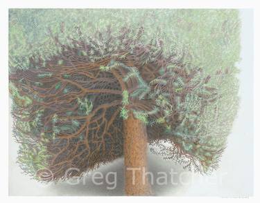 Original Realism Tree Printmaking by Greg Thatcher