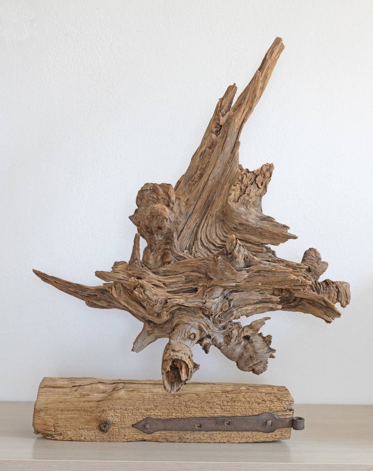 Original organic Interiors Sculpture by Jozef Sedmak