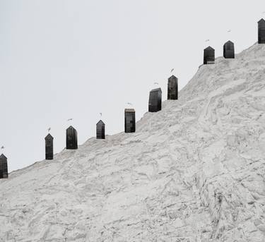 Original Minimalism Nature Photography by Dasha Pears
