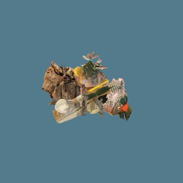 Original Abstract Still Life Photography by Jihyun Han