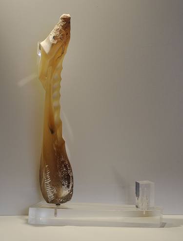 Original Abstract Nature Sculpture by Antonella Gerbi