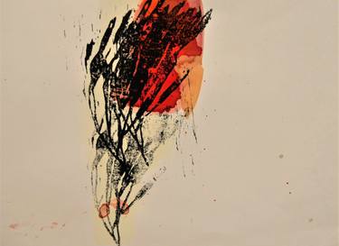 Original Fine Art Nature Printmaking by Doris Schmitz