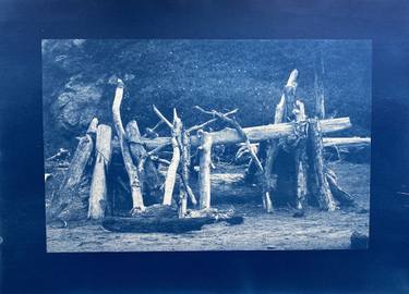 Original Fine Art Beach Photography by Buffy Davis