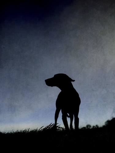 Original Figurative Dogs Mixed Media by Deborah Pendell