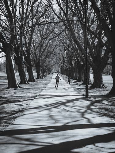 Print of Figurative Tree Photography by Deborah Pendell