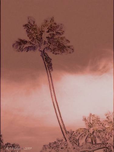 Original Abstract Expressionism Beach Photography by Ronald Phillips