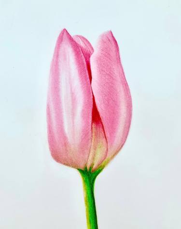 Original Figurative Floral Paintings by Karine Wagener