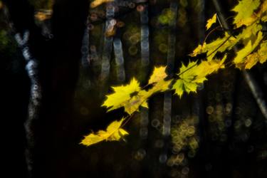 Original Conceptual Landscape Photography by Jeremi Grzywa