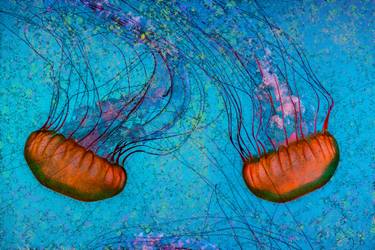 Original Abstract Fish Photography by Petras Paulauskas