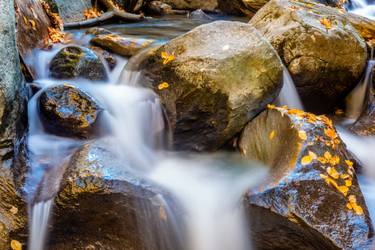 Original Photorealism Landscape Photography by Petras Paulauskas